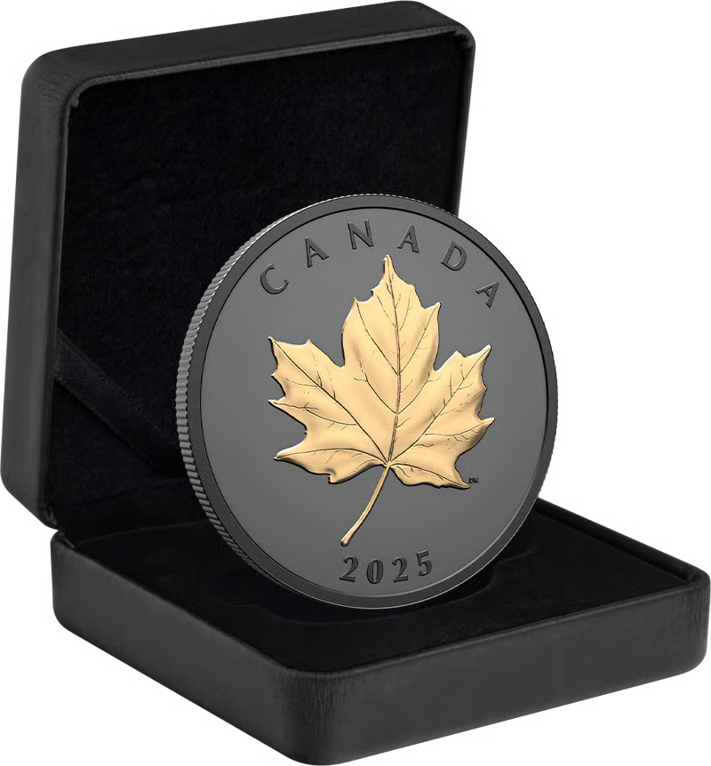 1 Unze Silber Black Elegant Maple Leaf 2025 (Auflage: 5.500 | Rhodium | teilvergoldet | Matte Proof)
