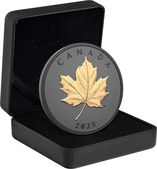 1 Unze Silber Black Elegant Maple Leaf 2025 (Auflage: 5.500 | Rhodium | teilvergoldet | Matte Proof)