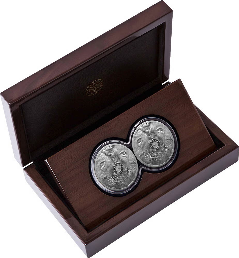 2 x 1 Unze Silber Big Five III Löwe 2025 Doppelkapsel (Auflage: 1.000 | Polierte Platte)