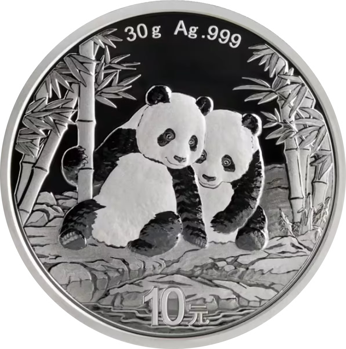 30g Silber China Panda 2026