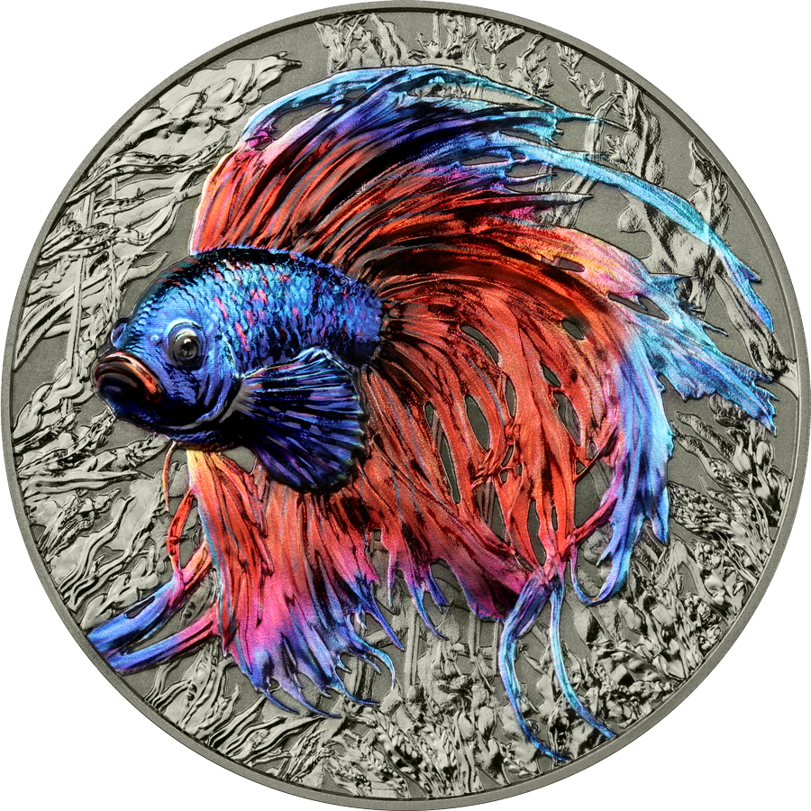Niue Island 2024 – Betta-Fisch 2 oz Silber HR