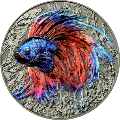 Niue Island 2024 – Betta-Fisch 2 oz Silber HR