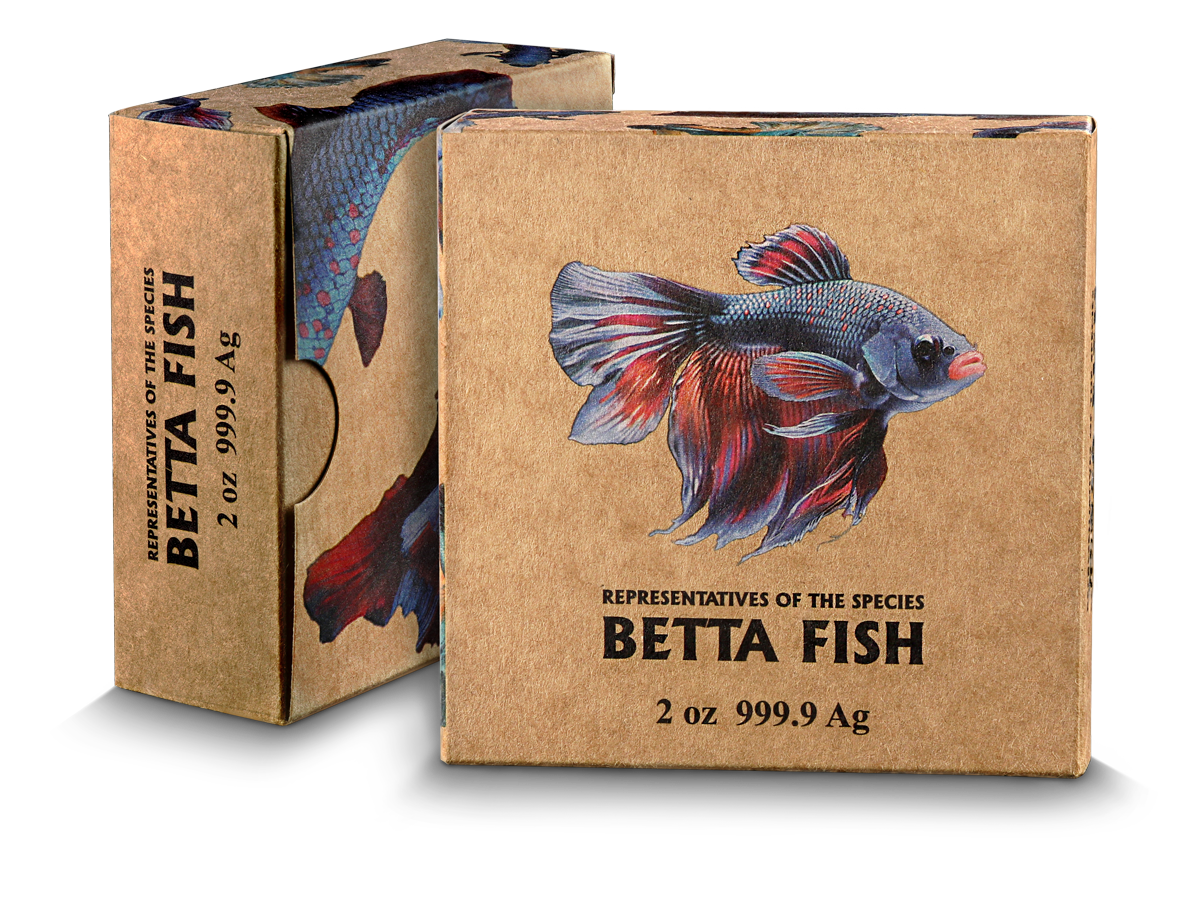 Niue Island 2024 – Betta-Fisch 2 oz Silber HR