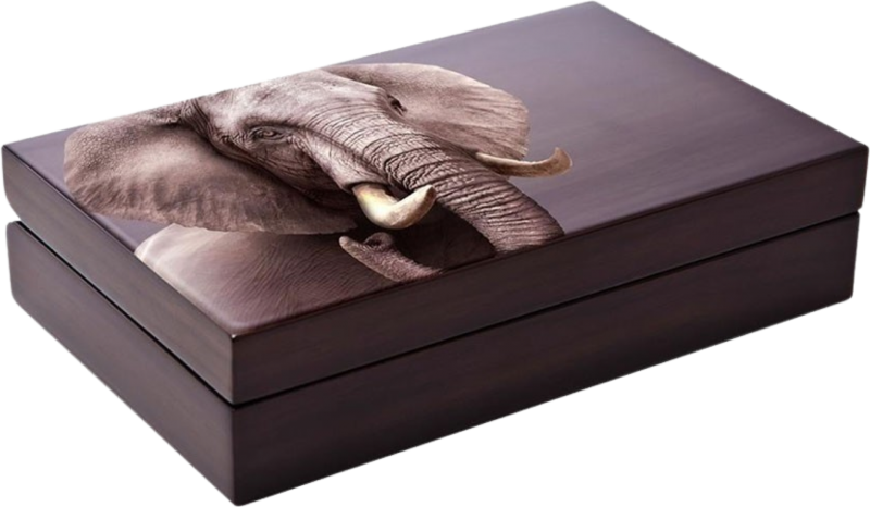 2 x 1oz Silber Big Five II Elefant 2021 Doppelkapsel Auflage: 1.000 | PP